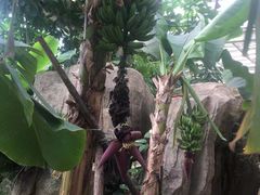 -石家庄市植物园