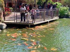-大门水乡·顺德菜