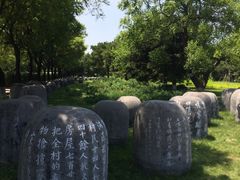 -中国人民抗日战争纪念雕塑园