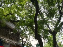 -清真·马文砂锅大全(麦苋街店)