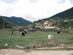 -康坞大寺