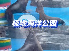 -海合安成都极地海洋公园