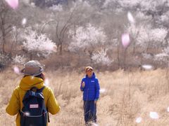 -碓臼峪自然风景区
