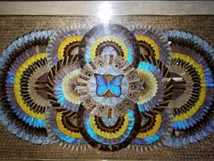 -上海昆虫博物馆