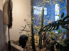 -漪龙台·B26 Rooftop Lounge