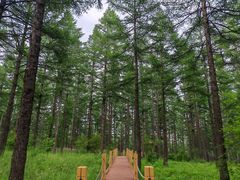 -塞罕坝国家级自然保护区