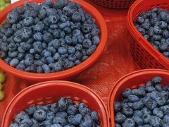 -五里多农博广场