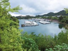 -梅地亚君澜度假酒店俱乐部