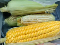-大连熟食品交易中心