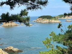 -悦海公园