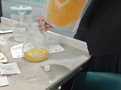 -大锅强·蒸海鲜青岛菜(吾悦广场店)