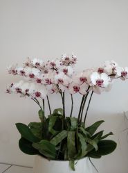 -颜蕾医美·黄金微针·水光·玻尿酸·超声炮·抗衰中心