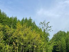 -桤木河湿地公园