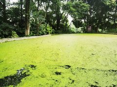 -成都市活水公园