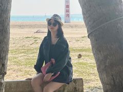 -东郊椰林