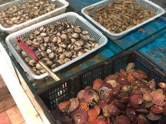 -龙达温泉生态城