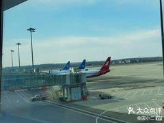 -郑州新郑国际机场-T2航站楼
