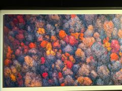 -罗红摄影艺术馆