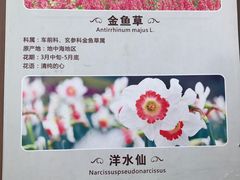 -保利石象湖景区