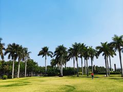-白鹭洲公园