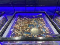 -圣罗巴海鲜自助(黑金店)