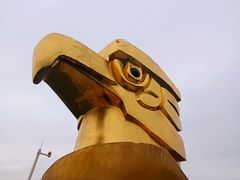 -大金鹰园