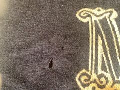 -曹树华专业无痕织补