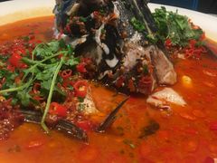 -坛宗剁椒鱼头(河西王府井店)