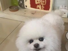 -宠颐生宠物医院·骨外科·犬猫全科诊疗中心(池州店)