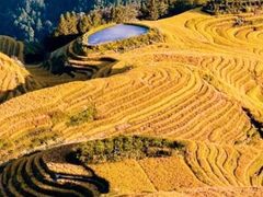 -龙脊梯田