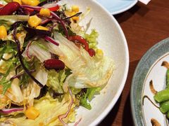有机蔬菜沙拉-初居食屋日式料理(万象城购物中心店)