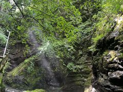 -牛背梁国家森林公园