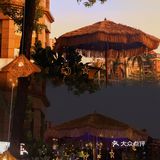 服务真的要改善