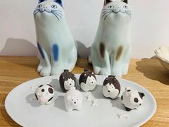 -猫里有甜