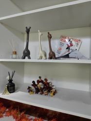 -变美丽半永久纹眉连锁·机器野生眉•洗眉