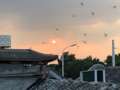 -EATALIA意塔利意式餐厅(鼓楼店)