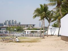 -欢乐海岸椰林沙滩-2025湾区超级灯会