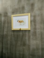 -iplus爱家高端孕妇摄影