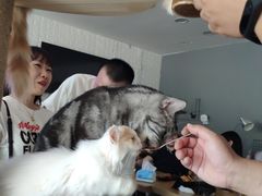 -平行世界·猫咖(首经贸店)