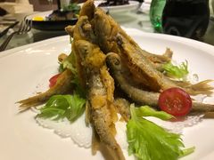 -西安饭庄·非遗陕菜(钟楼店)