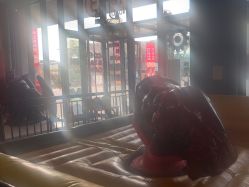 -嗨翻Hi-Fun竞技主题乐园·蹦床团建生日聚会(五棵松华熙店)