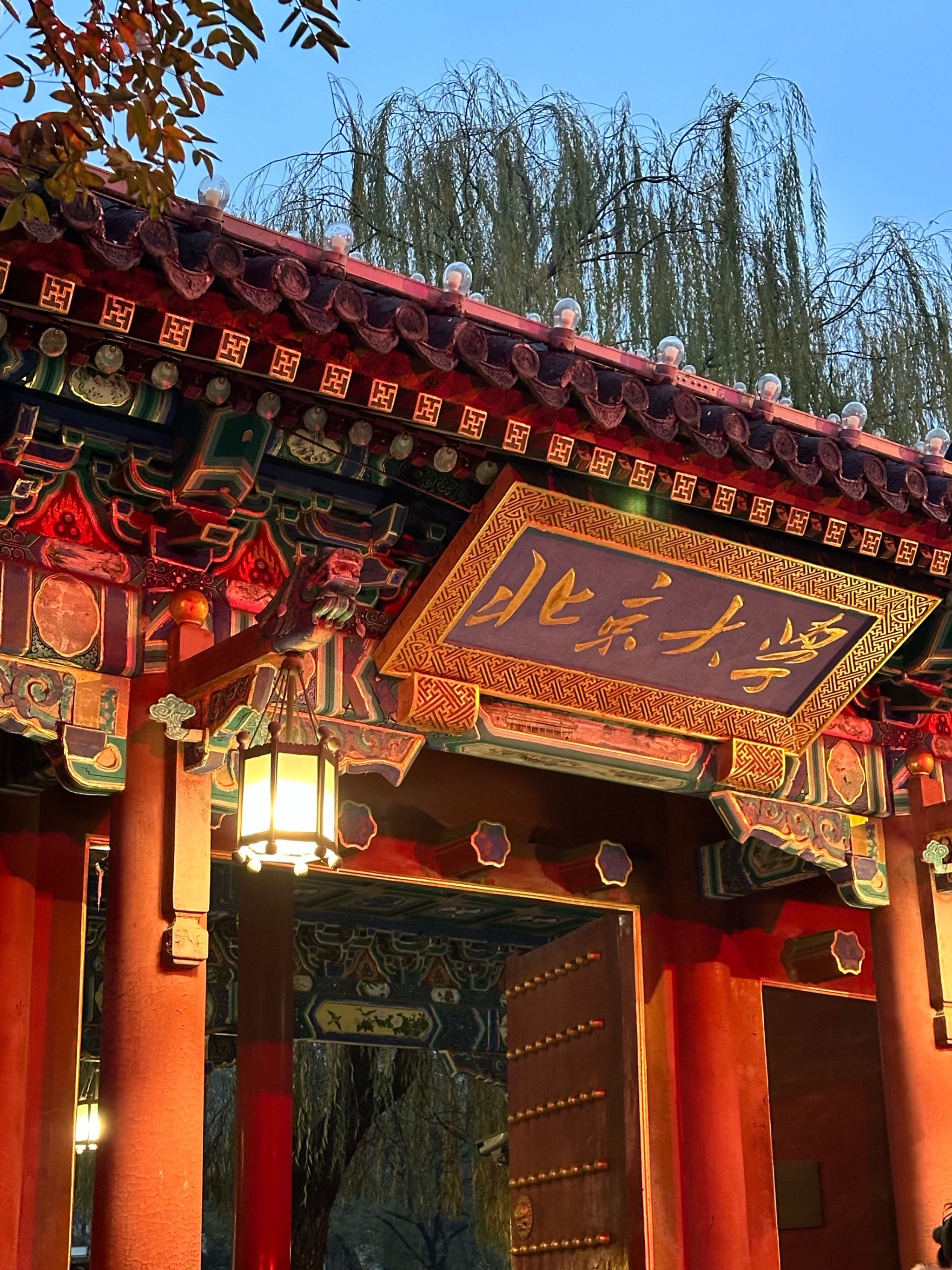 来北京大学逛啦