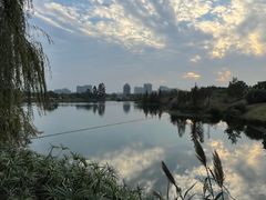 -眉山湿地公园(东坡区)