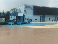 -芜湖新华联大白鲸海洋公园