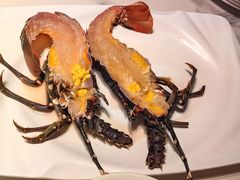 -青蓬蒸汽海鲜·深圳老字号·团建聚会(壹方城店)