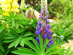 -南通洲际绿博园