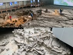 -自贡恐龙博物馆