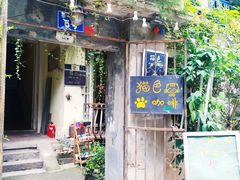 -猫色咖啡·猫咖