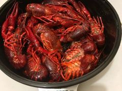 -眼镜哥浦江夜宵大本营