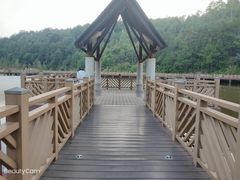 -神光山国家森林公园